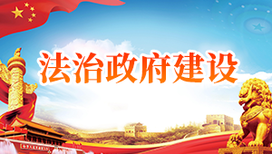 法治政府建設